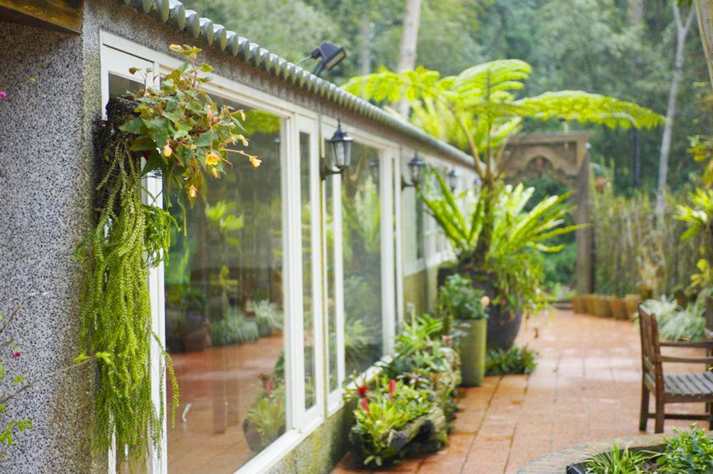 Green Shine B&B Nam Trang Ngoại thất bức ảnh
